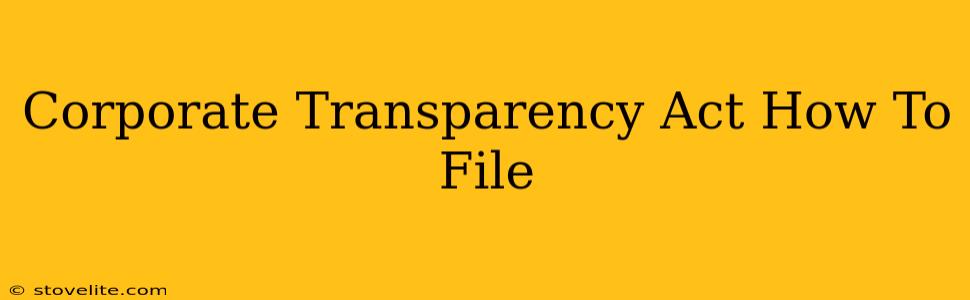 Corporate Transparency Act How To File