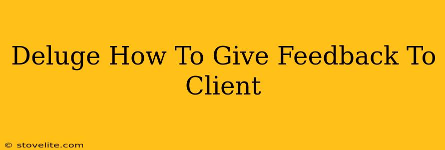 Deluge How To Give Feedback To Client