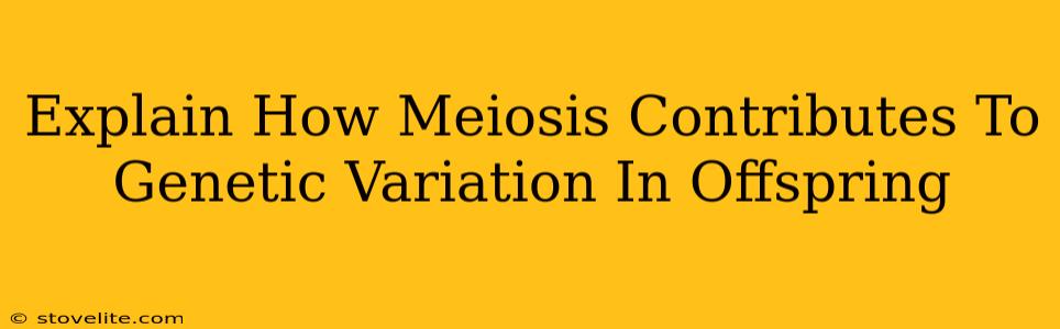 Explain How Meiosis Contributes To Genetic Variation In Offspring