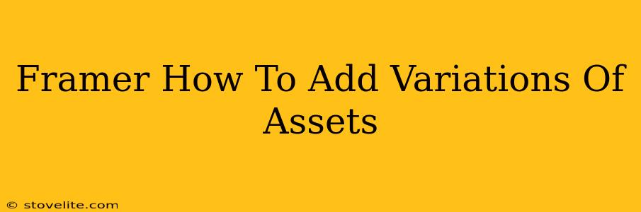 Framer How To Add Variations Of Assets
