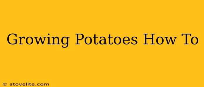 Growing Potatoes How To