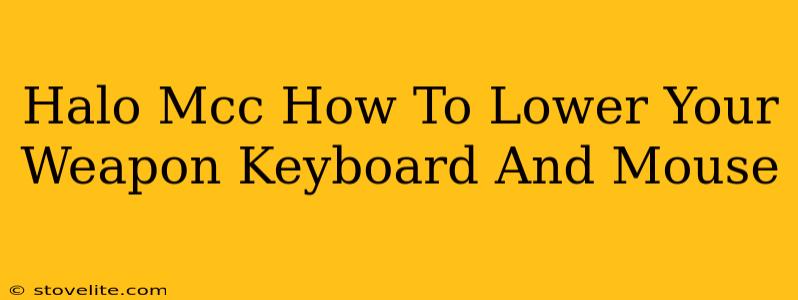 Halo Mcc How To Lower Your Weapon Keyboard And Mouse