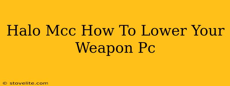 Halo Mcc How To Lower Your Weapon Pc