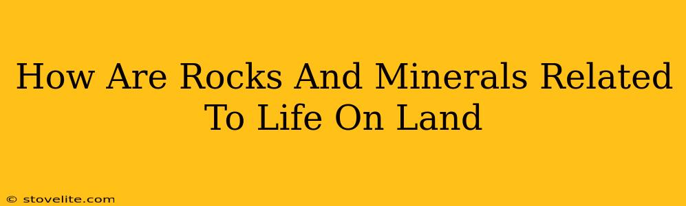 How Are Rocks And Minerals Related To Life On Land