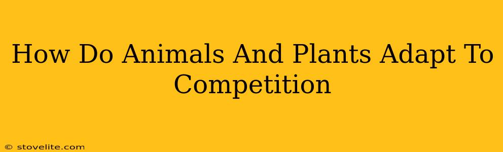 How Do Animals And Plants Adapt To Competition