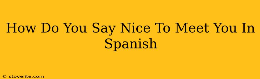 How Do You Say Nice To Meet You In Spanish