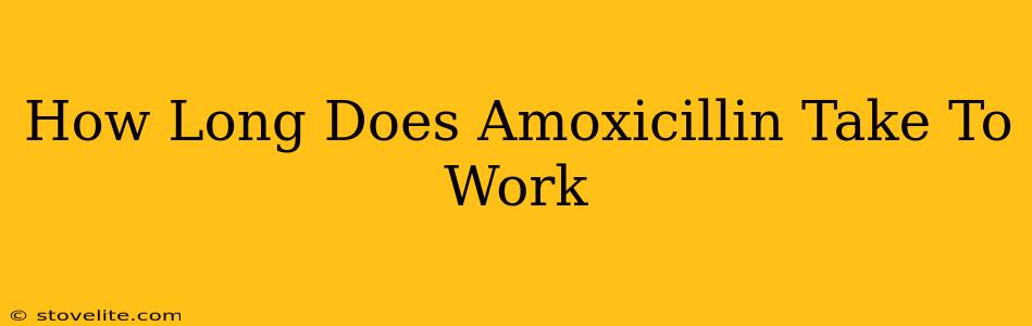 How Long Does Amoxicillin Take To Work