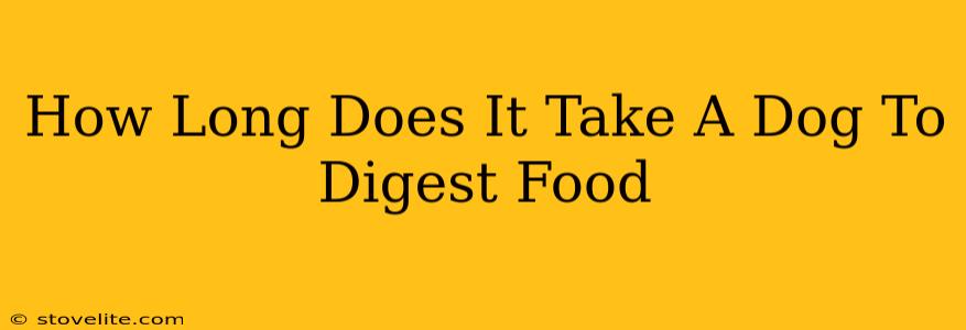 How Long Does It Take A Dog To Digest Food