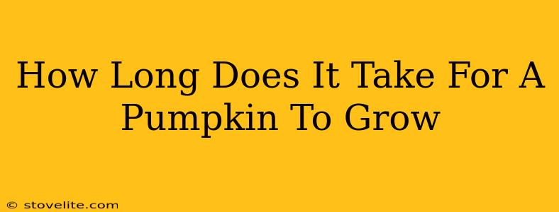 How Long Does It Take For A Pumpkin To Grow