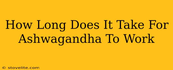 How Long Does It Take For Ashwagandha To Work