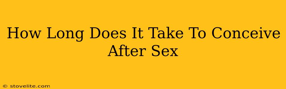 How Long Does It Take To Conceive After Sex