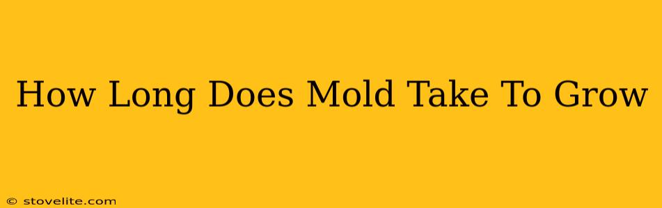 How Long Does Mold Take To Grow