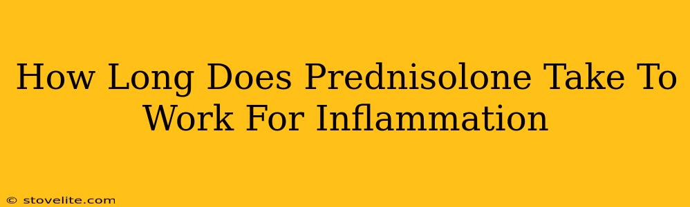 How Long Does Prednisolone Take To Work For Inflammation