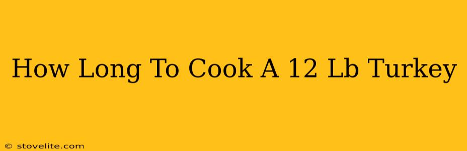 How Long To Cook A 12 Lb Turkey