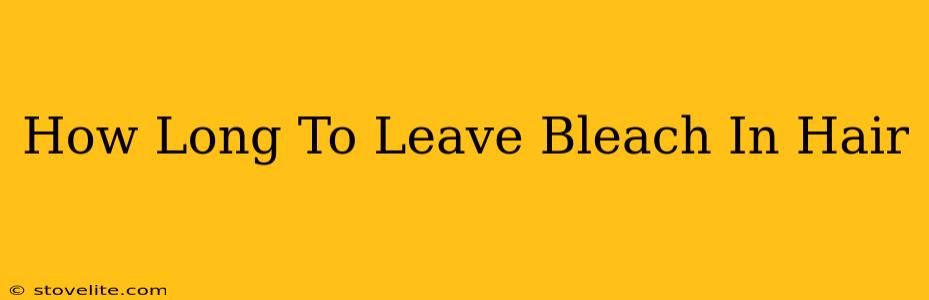 How Long To Leave Bleach In Hair