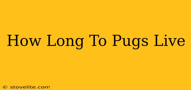 How Long To Pugs Live