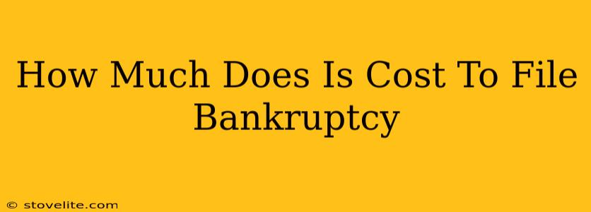 How Much Does Is Cost To File Bankruptcy