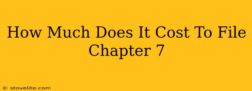 How Much Does It Cost To File Chapter 7