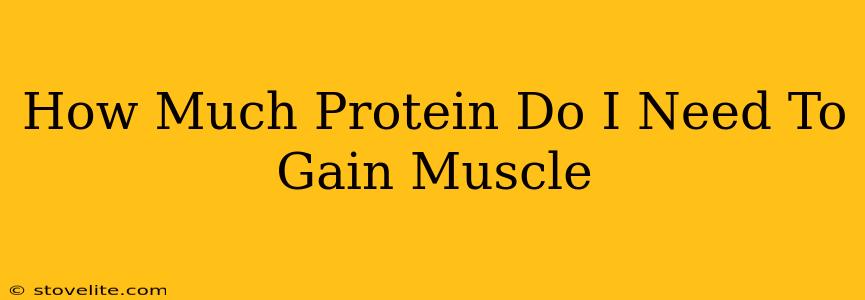 How Much Protein Do I Need To Gain Muscle