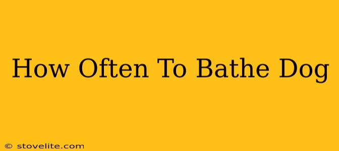 How Often To Bathe Dog