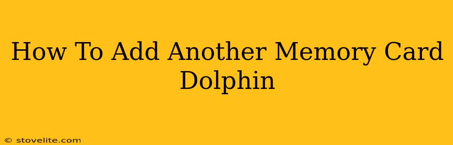 How To Add Another Memory Card Dolphin