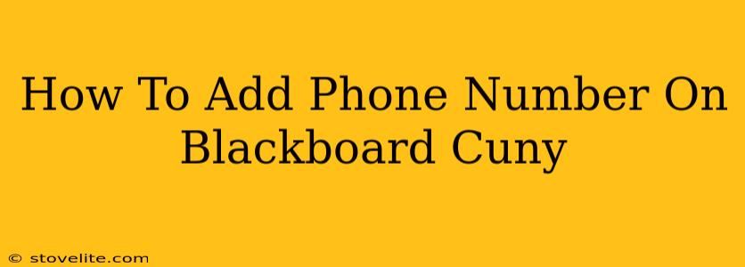 How To Add Phone Number On Blackboard Cuny