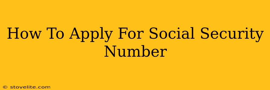 How To Apply For Social Security Number