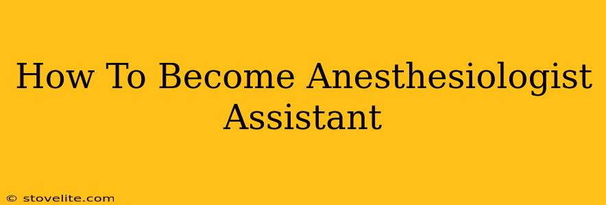 How To Become Anesthesiologist Assistant