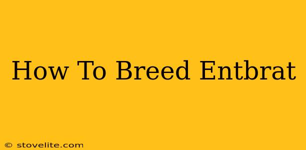 How To Breed Entbrat