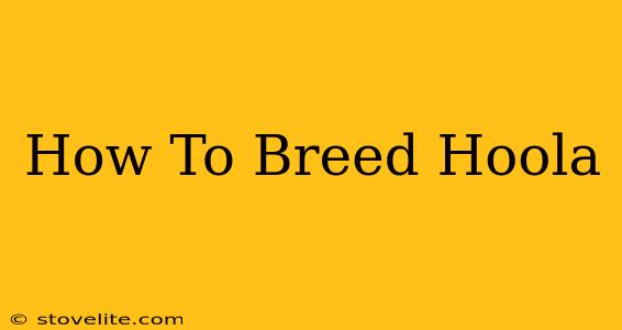 How To Breed Hoola