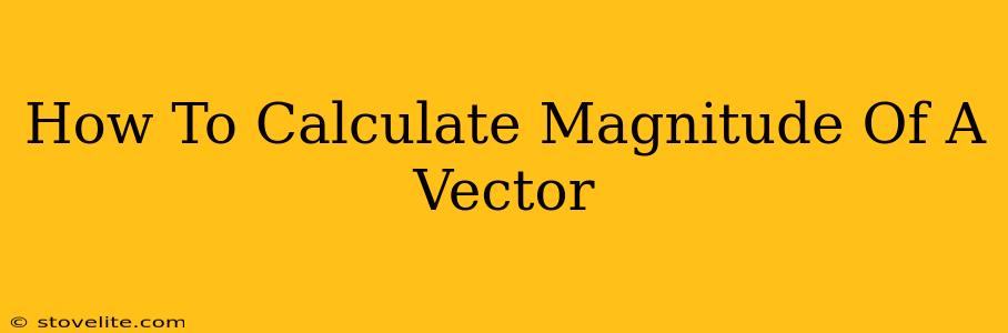 How To Calculate Magnitude Of A Vector