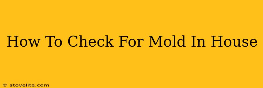 How To Check For Mold In House