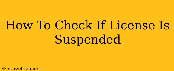 How To Check If License Is Suspended