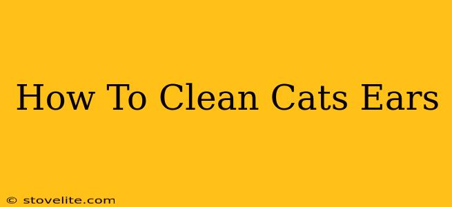 How To Clean Cats Ears