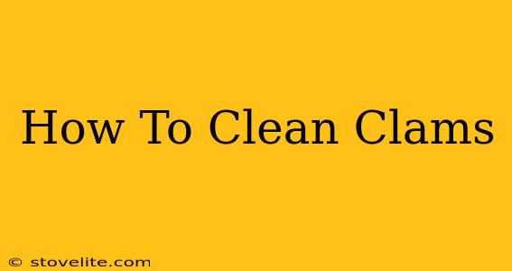 How To Clean Clams