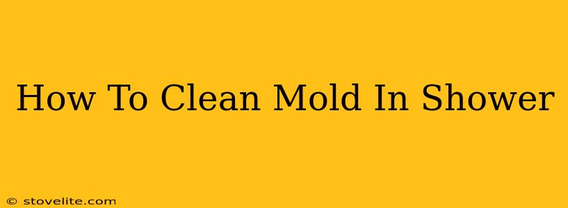 How To Clean Mold In Shower