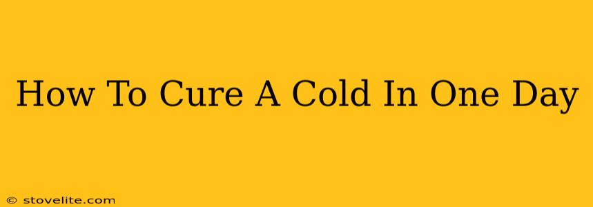 How To Cure A Cold In One Day