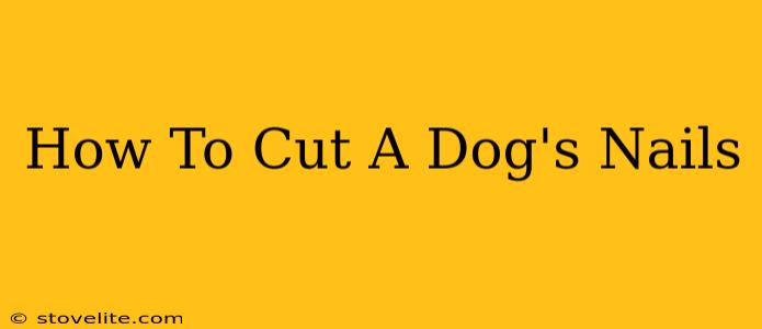 How To Cut A Dog's Nails