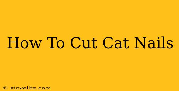 How To Cut Cat Nails