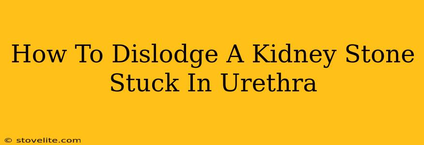 How To Dislodge A Kidney Stone Stuck In Urethra