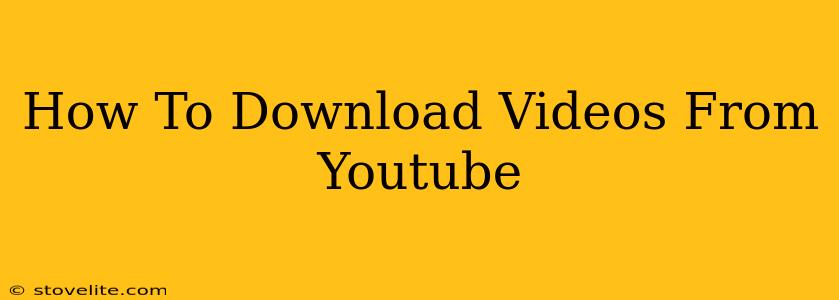 How To Download Videos From Youtube