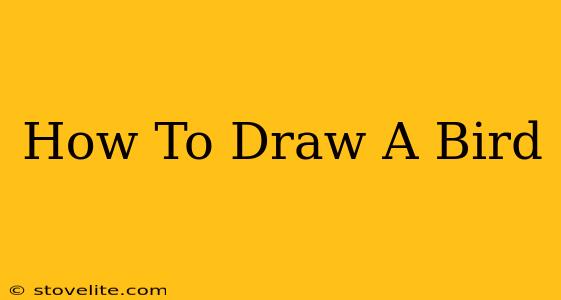 How To Draw A Bird