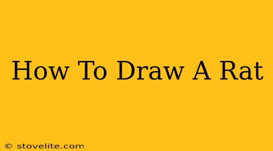 How To Draw A Rat