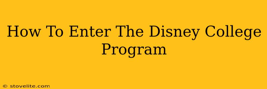 How To Enter The Disney College Program