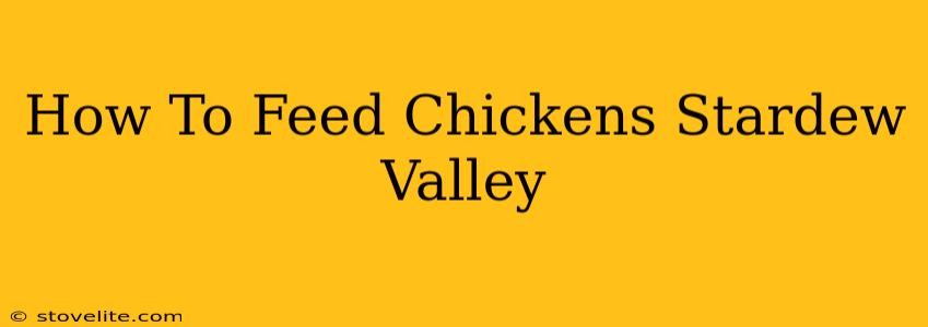 How To Feed Chickens Stardew Valley