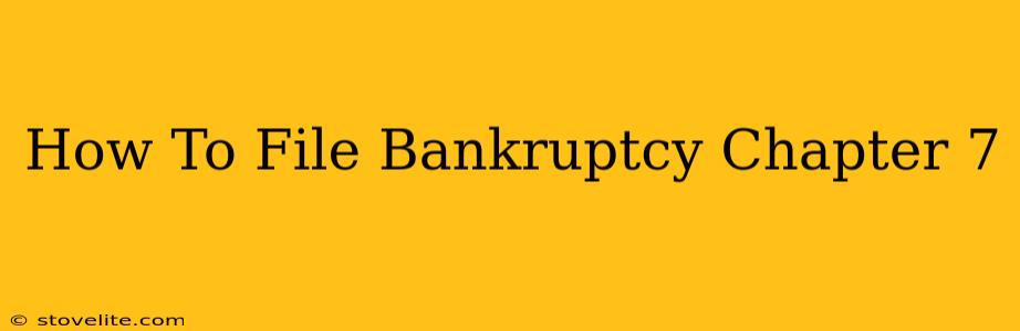 How To File Bankruptcy Chapter 7