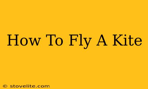 How To Fly A Kite