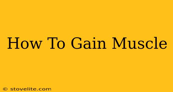 How To Gain Muscle