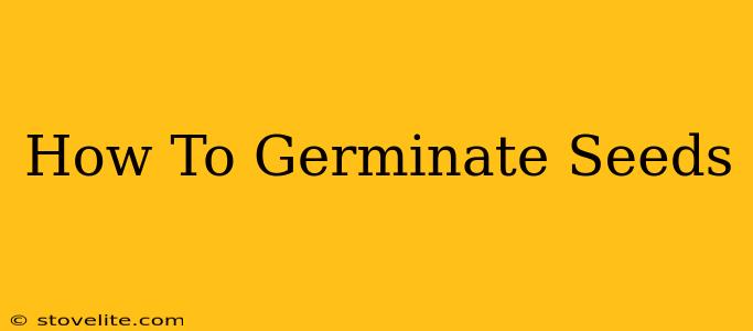 How To Germinate Seeds