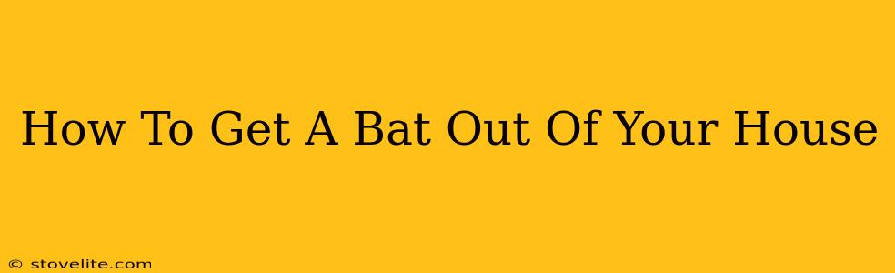 How To Get A Bat Out Of Your House